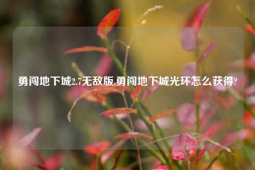 勇闯地下城2.7无敌版,勇闯地下城光环怎么获得?