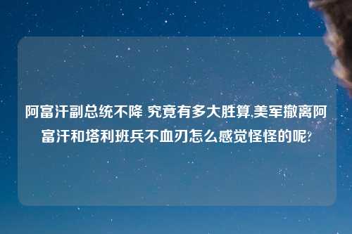 阿富汗副总统不降 究竟有多大胜算,美军撤离阿富汗和塔利班兵不血刃怎么感觉怪怪的呢?