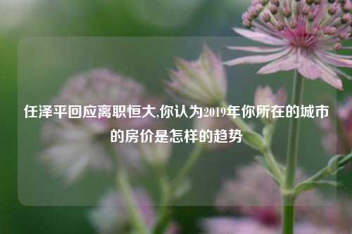 任泽平回应离职恒大,你认为2019年你所在的城市的房价是怎样的趋势