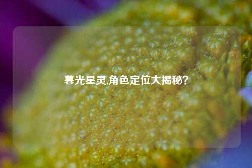 暮光星灵,角色定位大揭秘？
