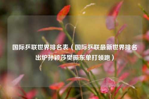 国际乒联世界排名表（国际乒联最新世界排名出炉孙颖莎樊振东单打领跑）
