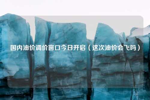 国内油价调价窗口今日开启（这次油价会飞吗）