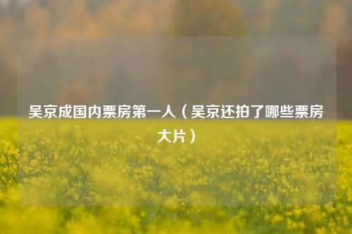 吴京成国内票房第一人（吴京还拍了哪些票房大片）