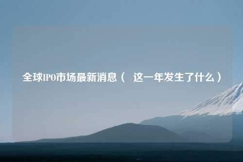 全球IPO市场最新消息（  这一年发生了什么）