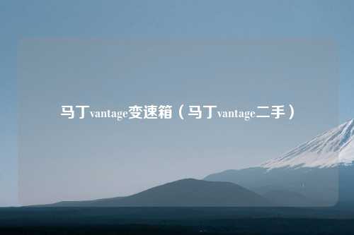 马丁vantage变速箱（马丁vantage二手）