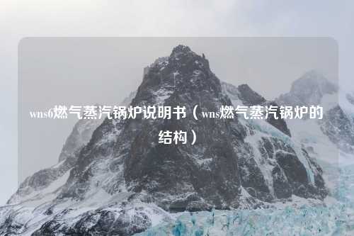 wns6燃气蒸汽锅炉说明书（wns燃气蒸汽锅炉的结构）