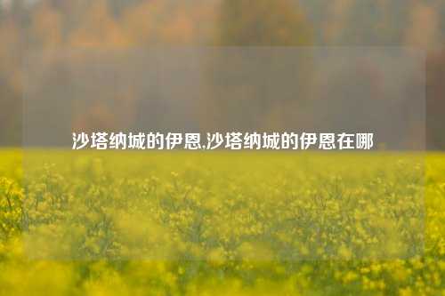 沙塔纳城的伊恩,沙塔纳城的伊恩在哪