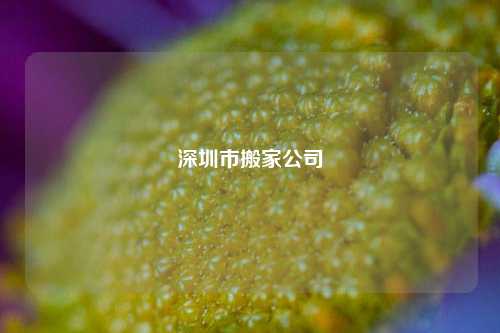 深圳市搬家公司