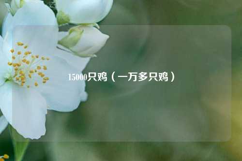 15000只鸡（一万多只鸡）