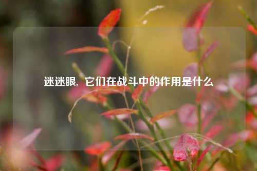 迷迷眼,  它们在战斗中的作用是什么