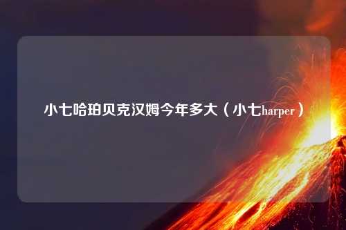 小七哈珀贝克汉姆今年多大（小七harper）