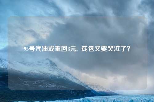 95号汽油或重回8元,  钱包又要哭泣了？