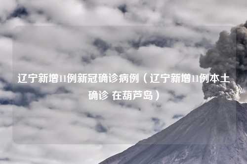 辽宁新增11例新冠确诊病例（辽宁新增11例本土确诊 在葫芦岛）