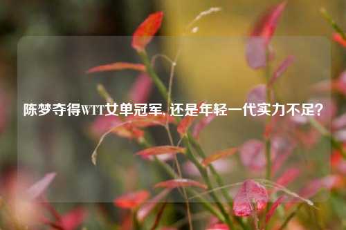 陈梦夺得WTT女单冠军, 还是年轻一代实力不足？
