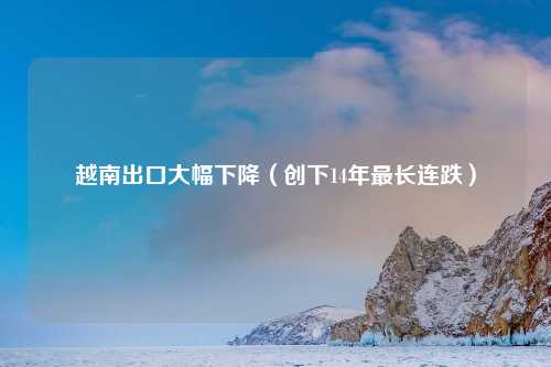越南出口大幅下降（创下14年最长连跌）