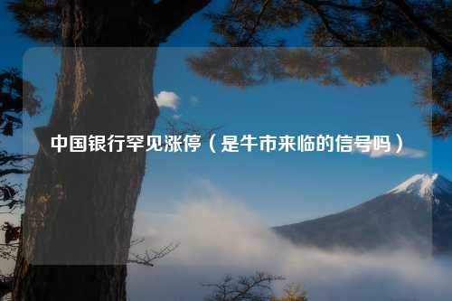 中国银行罕见涨停（是牛市来临的信号吗）