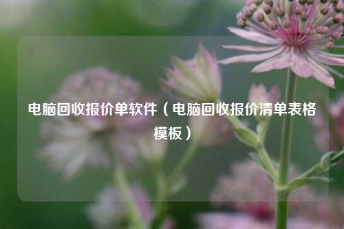 电脑回收报价单软件（电脑回收报价清单表格模板）