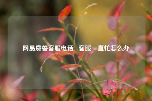 网易魔兽客服电话,  客服一直忙怎么办