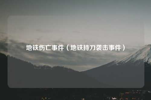 地铁伤亡事件（地铁持刀袭击事件）