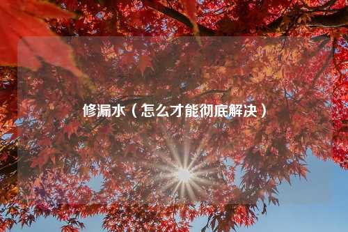 修漏水（怎么才能彻底解决）