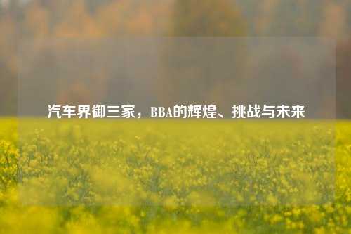 汽车界御三家，BBA的辉煌、挑战与未来