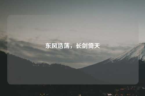 东风浩荡，长剑倚天