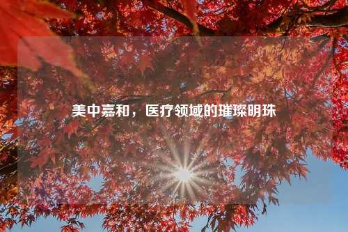 美中嘉和，医疗领域的璀璨明珠