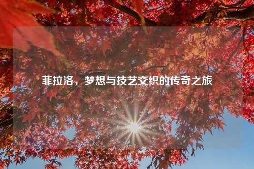 菲拉洛，梦想与技艺交织的传奇之旅
