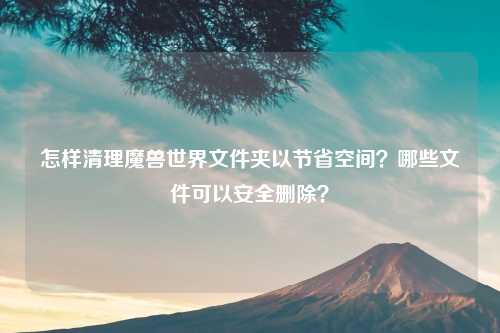 怎样清理魔兽世界文件夹以节省空间？哪些文件可以安全删除？