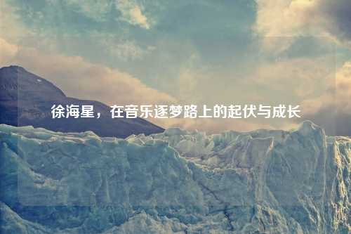 徐海星，在音乐逐梦路上的起伏与成长